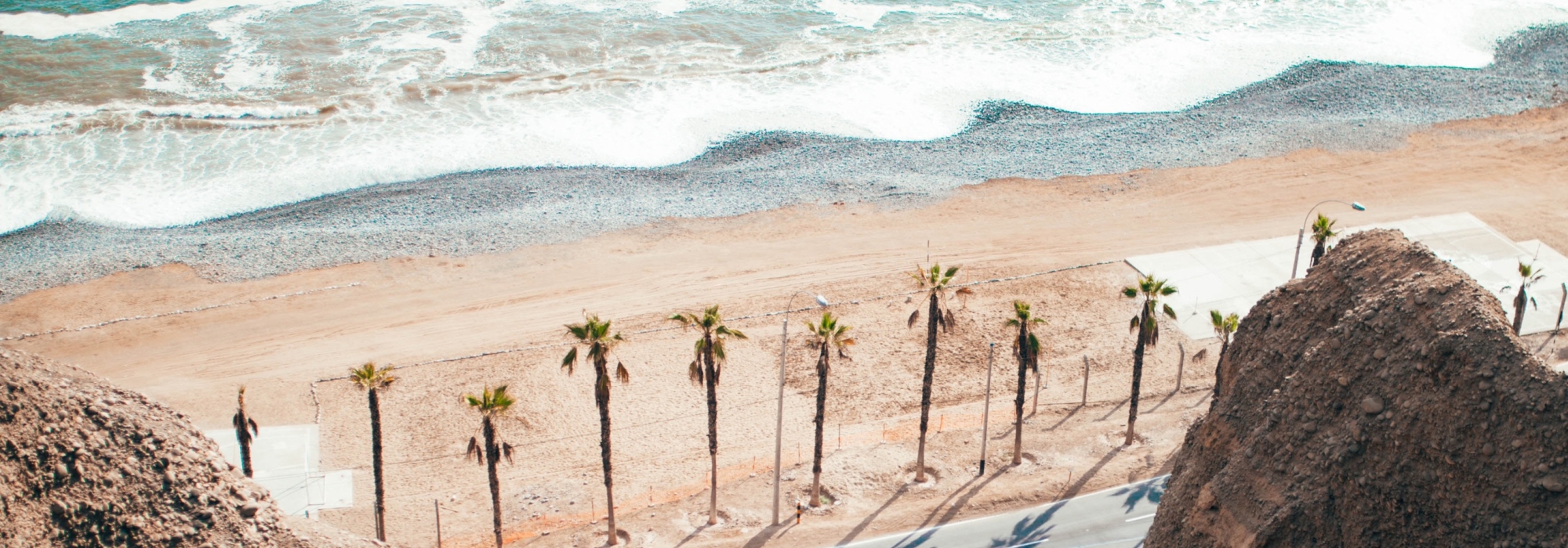 Aerial view of palm trees on a beach, with waves lapping on the shore.